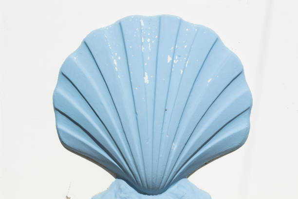 Sand cake decorated with seashells. Vacation concept
