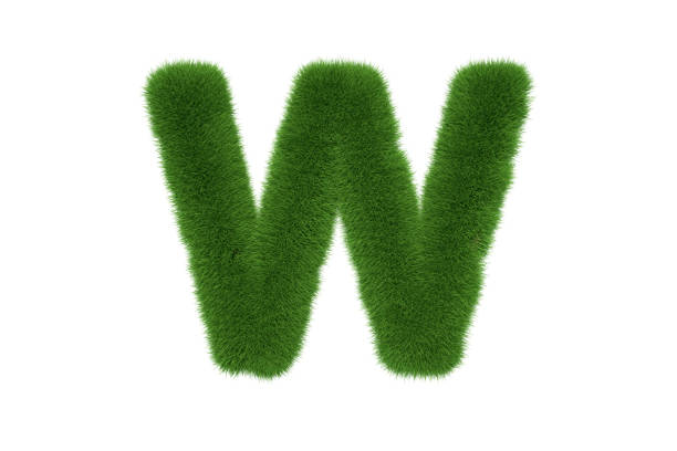 istock Letter W with Grass Uppercase 1290545369