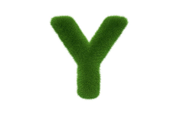 istock Letter Y with Grass Uppercase 1290545417