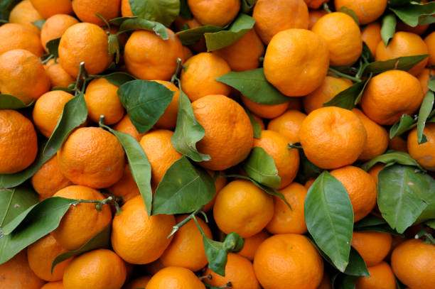 Mandarins stock photo