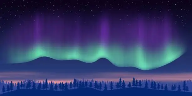 Vector illustration of Fantasy on the theme of the northern landscape. Night and polar lights.