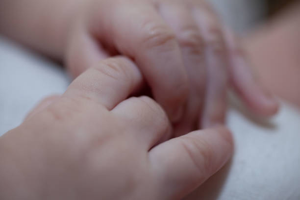 istock newborn body parts - hands 1290548993