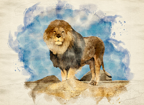 Watercolor image of male lion standing proudly on a cliff rock looking at the camera with blue sky in background. Computergenerated image.