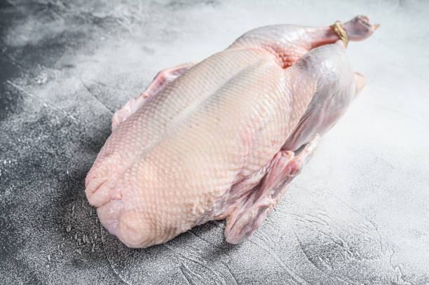 istock Raw whole duck, poultry meat. White background. Top view 1290553637