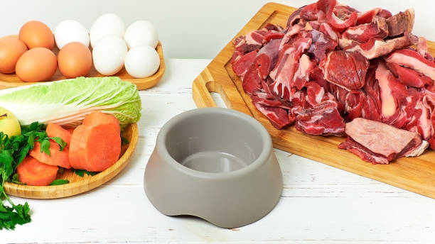 고양이와 개를위한 자연 음식을 준비합니다. 신선한 생 고기, 계란, 야채를 식탁에 담고 있습니다. 건강한 수제 애완 동물 사료. - food healthy eating carrot table 뉴스 사진 이미지