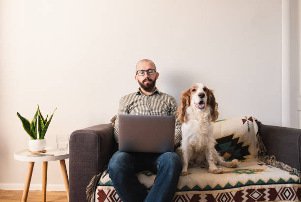 mann arbeitet zu hause, glücklicher hund sitzt neben ihm auf der couch. - people business dog owner stock-fotos und bilder