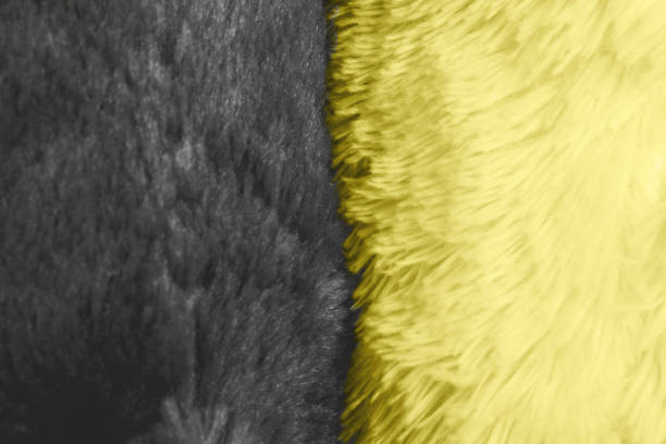 istock Artificial fur background closeup picture. 1290564130