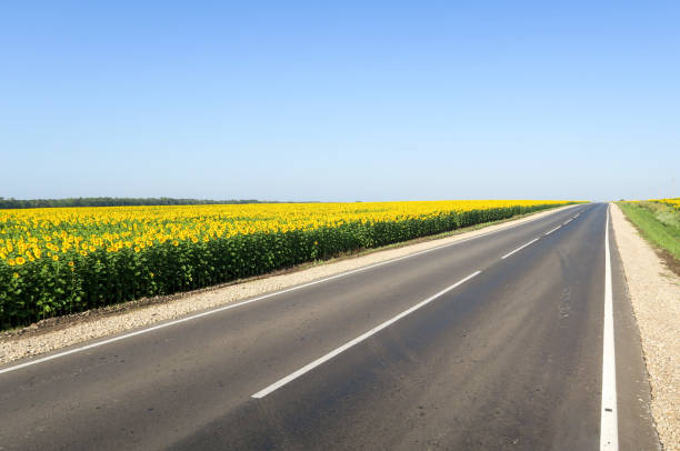 istock Highway on the background of a rural landscape 1290565584