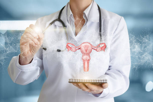 istock Uterus examination diagnosis concept. 1290566890