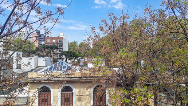 istock Parque Rodo Neighborhood From Apartment Window 1290566954