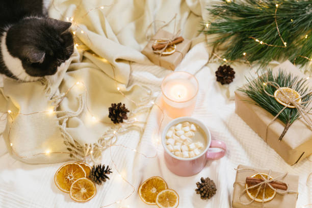 istock Warm and cozy home atmosphere preparing for holidays and celebration. Christmas composition. Hot chocolate, cinnamon, marshmallow, knitted blanket and pine cones. Flat lay, top view. 1290567405