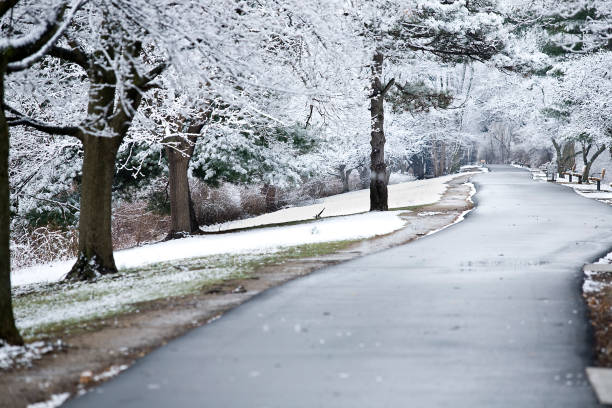 istock Cold winter day in the park along the walkway 1290568709
