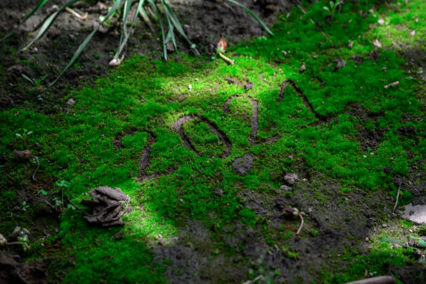 istock Happy 2021 with beatiful nature 1290570503