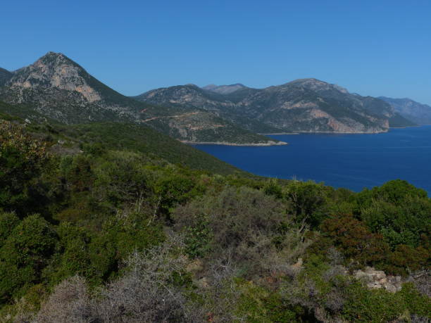 istock Landscape around the Evangelistria Monastery, Peloponnese 1290571502