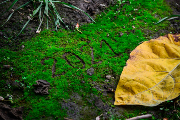 istock Happy 2021 with a beatiful nature 1290573813