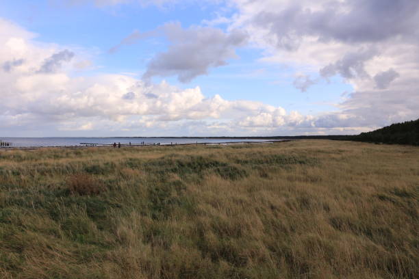 istock Atmospheric dune landscape on the Baltic Sea 1290575234