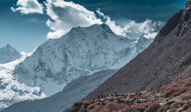 istock Himalayan Mountain Peak and Range with pack mules in foreground.  Hikers looking. 1290579067