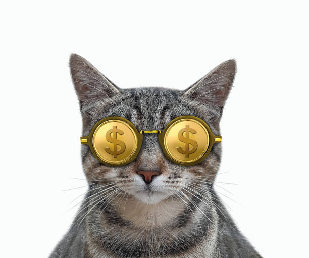 istock Cat gray in cool dollar glasses 1290579174