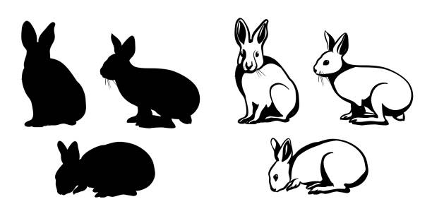 BunnyOneTwoThree Bunny rabbits sketch illustration in vector format.  Three poses from this cute realistic looking mammal easter silhouettes stock illustrations