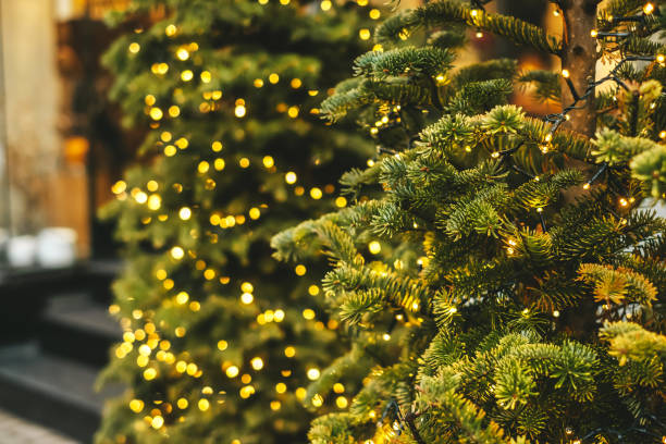 istock Christmas tree decoration and garland 1290581485