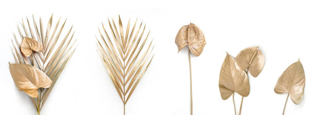 istock Set of golden palm leaves. 1290585216