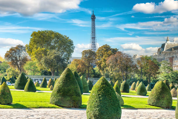 Beautiful green lawn and trimmed bushes at sunny day. Paris, France