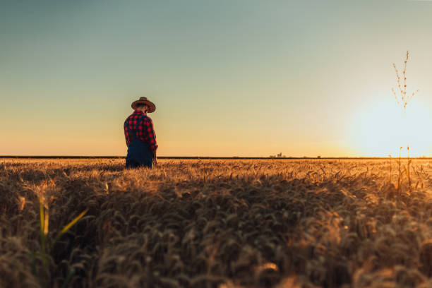 istock It's a way of life 1290594344