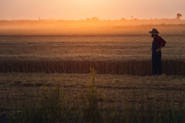 istock The earth always gives back 1290595389