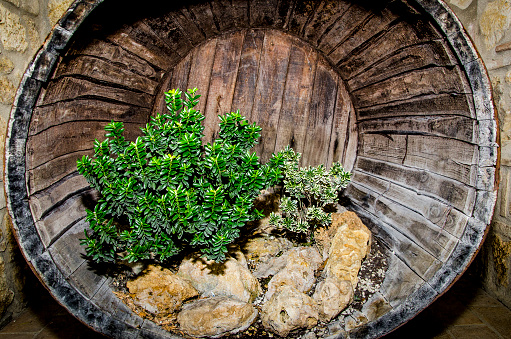 Barrel with decoration for a rustic environment