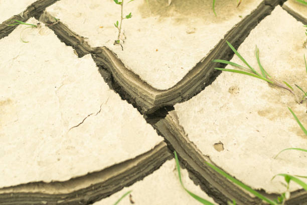 istock Land with dry and cracked ground. Desert,Global warming background 1290595437