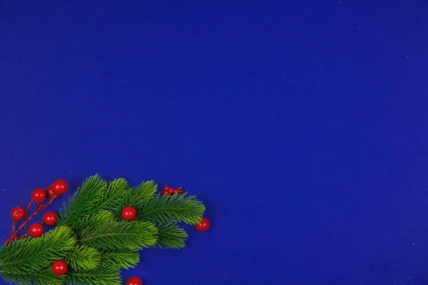 istock Simple christmas blue background with fir branches and red berries at border, copy space, decoration 1290596286