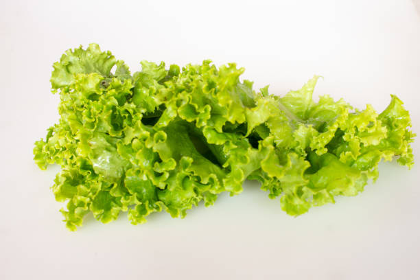 istock fresh leaves, the delicious 1290599053