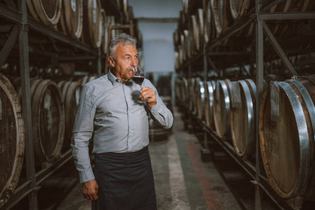 Senior sommelier testing red wine in cellar, smelling red wine. Senior sommelier testing red wine in cellar. wine producer stock pictures, royalty-free photos & images