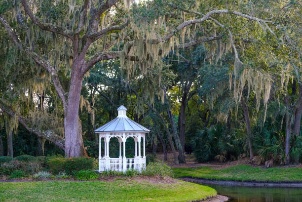 istock White Gazebo in Garden 1290601931