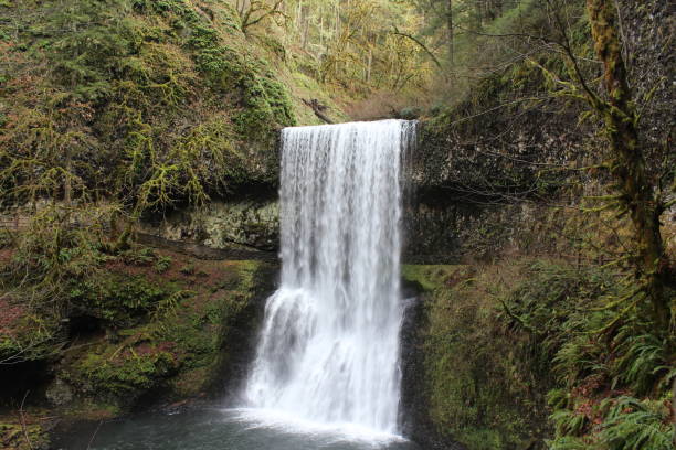 istock Silver Falls waterfalls and nature area 1290602067