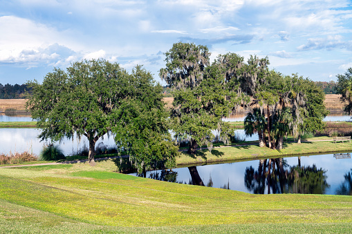 Plantation in the South USA