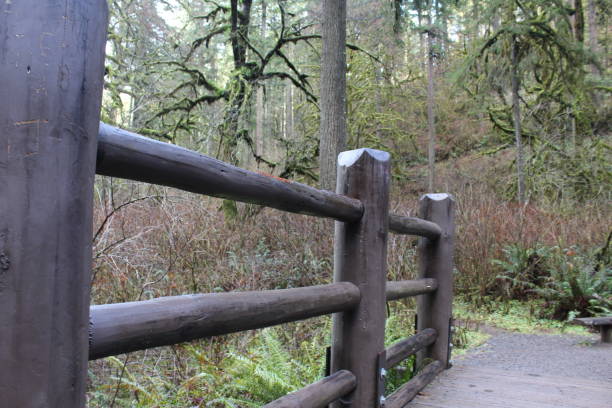 istock Silver Falls waterfalls and nature area 1290602886