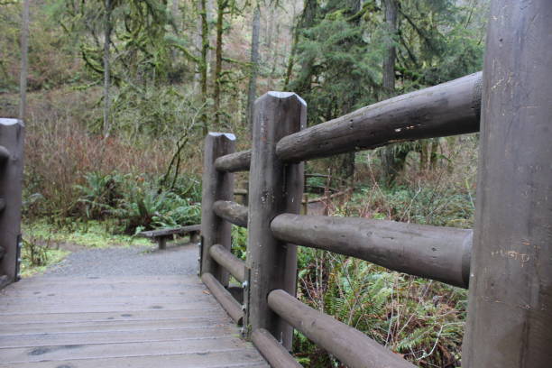 istock Silver Falls waterfalls and nature area 1290603083