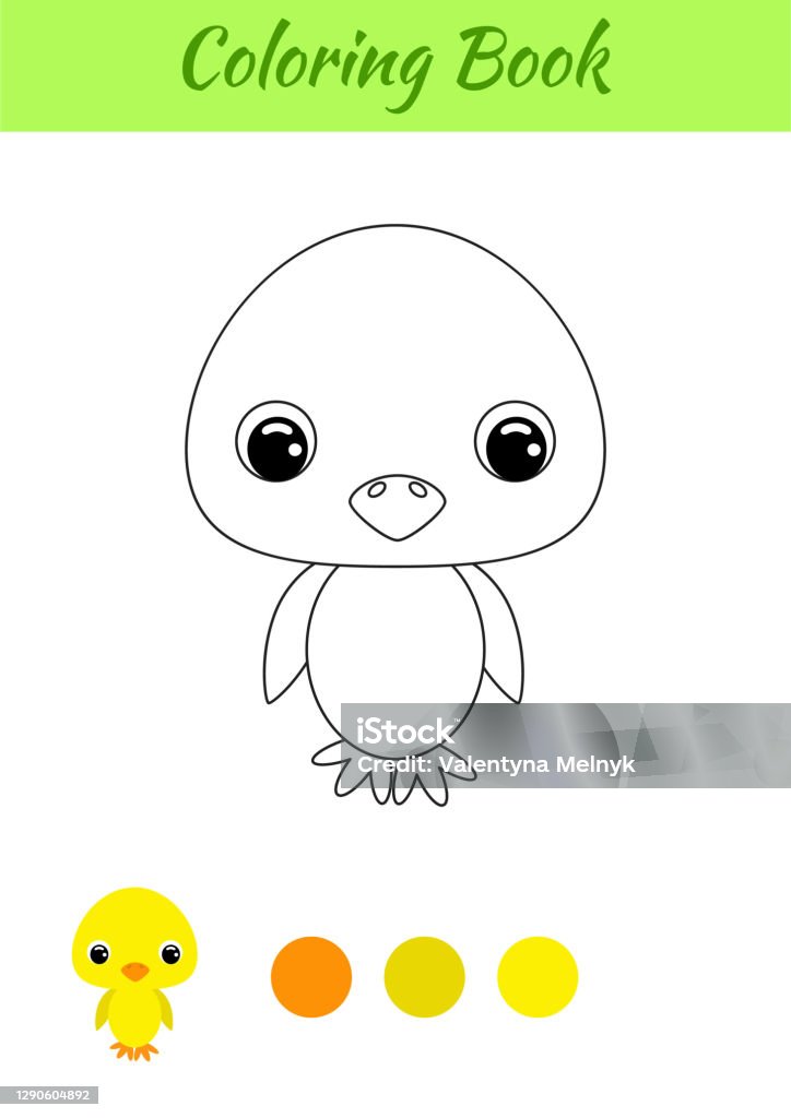 Coloring Book Little Baby Chicken Coloring Page For Kids Educational