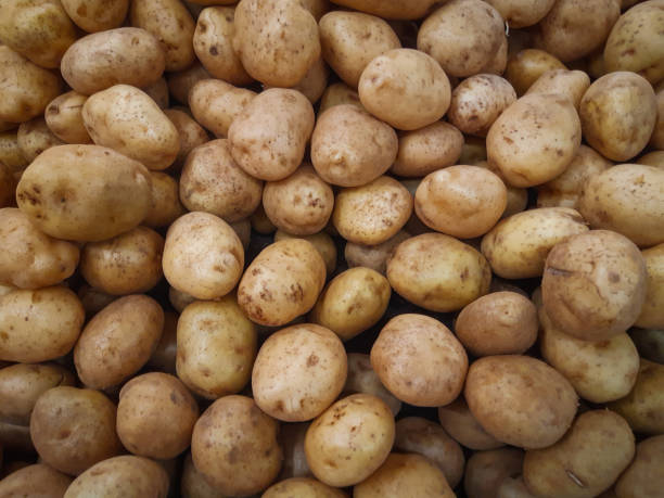istock pile of potatoes 1290611480