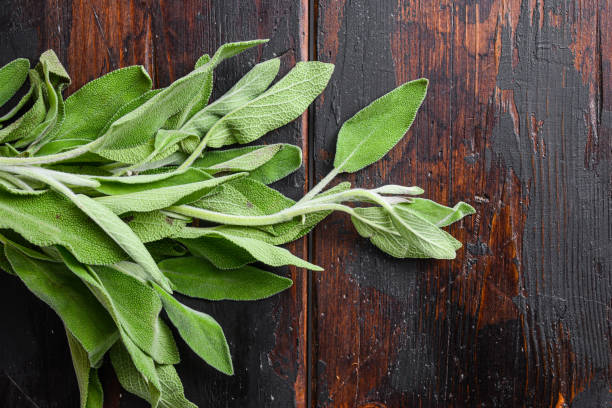 istock Sage on dark old wooden table top view. 1290611847