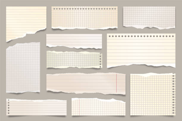 Colored ripped lined paper strips collection. Realistic paper scraps with torn edges. Sticky notes, shreds of notebook pages. Vector illustration Colored ripped lined paper strips collection. Realistic paper scraps with torn edges. Sticky notes, shreds of notebook pages. Vector illustration backgrounds scrap metal gray textured stock illustrations