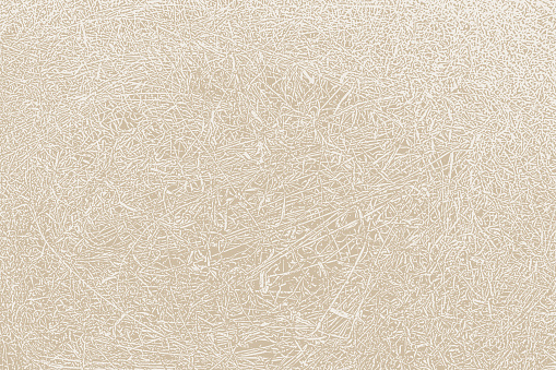 Dried grass texture background