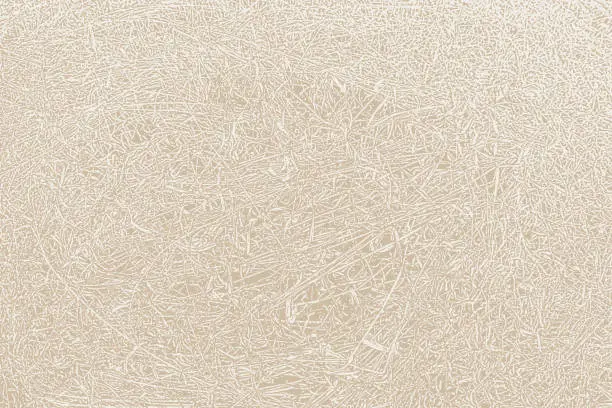 Vector illustration of Dried grass texture background