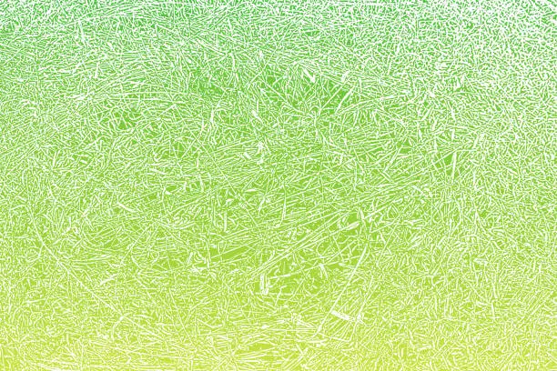 Vector illustration of Dried grass texture background