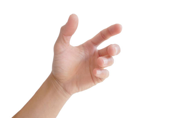 istock Hand gestures are showing grasping or holding something on a white background. 1290625461