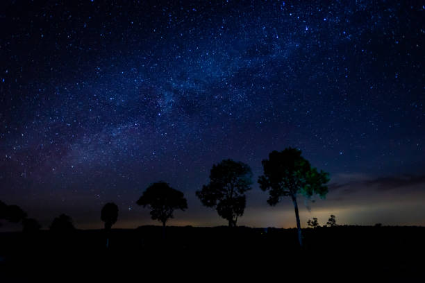 istock Panorama blue night sky milky way and stars. with blur shadow.. 1290627398