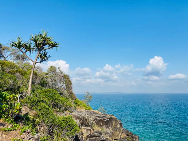 istock Tea Tree Bay - Noosa Heads National Park 1290629538