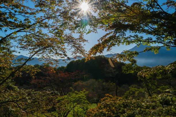Walking around chichibu with autumn colors