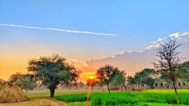 istock Morning time, Sun shining and scattering sun rays view greenish landscape. 1290632983